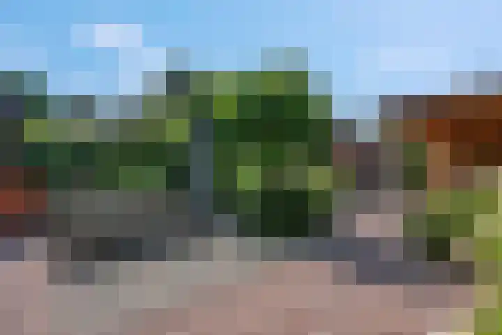 't Hazeveld 51 Nijkerk thumbnail 39