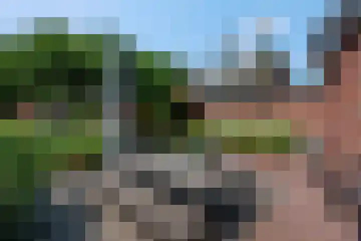 't Hazeveld 51 Nijkerk thumbnail 40