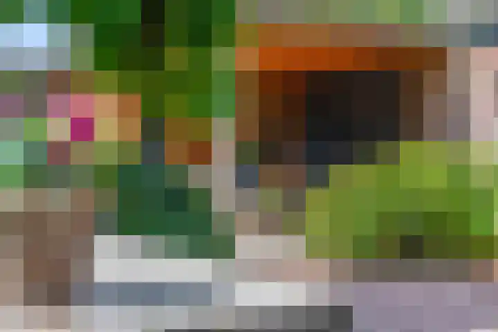 't Hazeveld 51 Nijkerk thumbnail 41