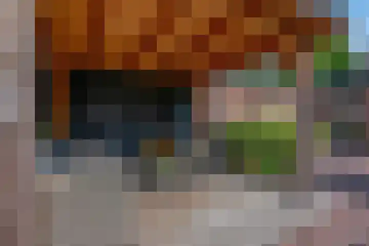 't Hazeveld 51 Nijkerk thumbnail 42