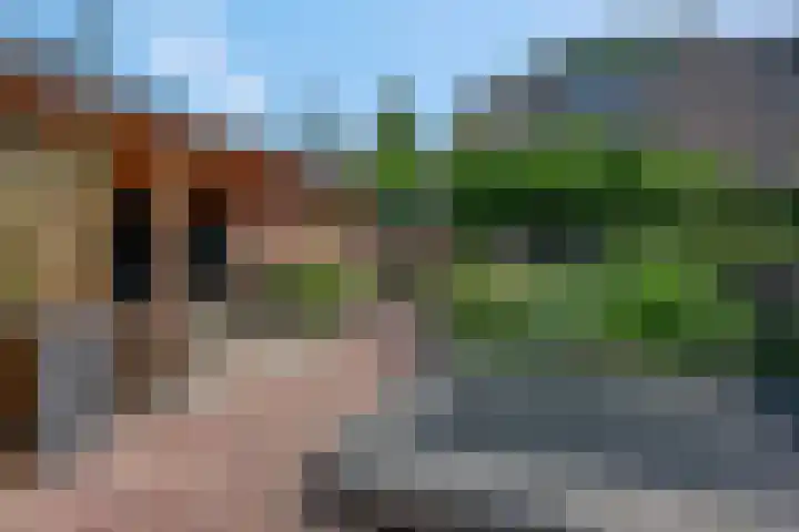 't Hazeveld 51 Nijkerk thumbnail 43