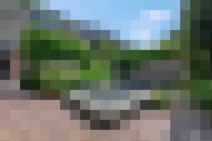 't Hazeveld 51 Nijkerk thumbnail 44