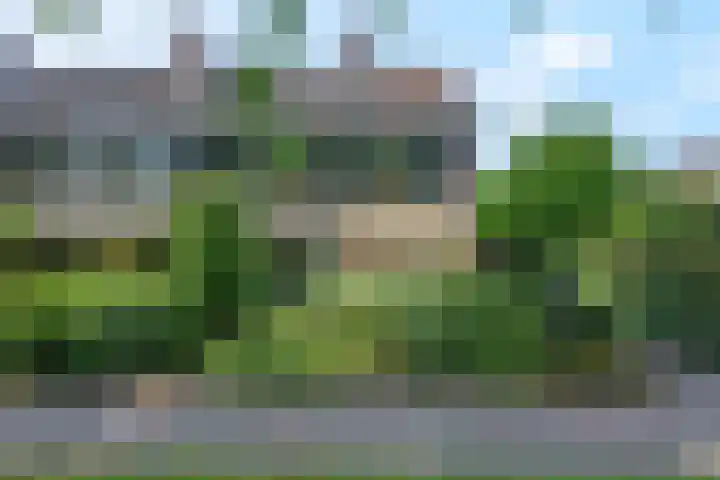 't Hazeveld 51 Nijkerk thumbnail 51