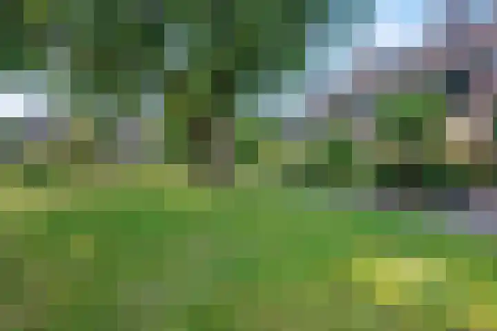 't Hazeveld 51 Nijkerk thumbnail 53