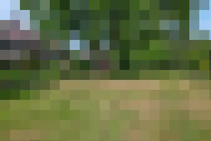 't Hazeveld 51 Nijkerk thumbnail 54