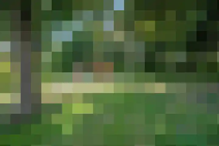 't Hazeveld 51 Nijkerk thumbnail 55