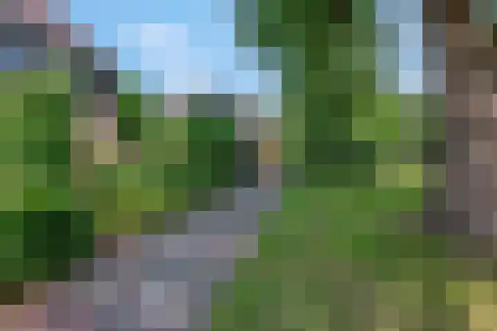 't Hazeveld 51 Nijkerk thumbnail 56