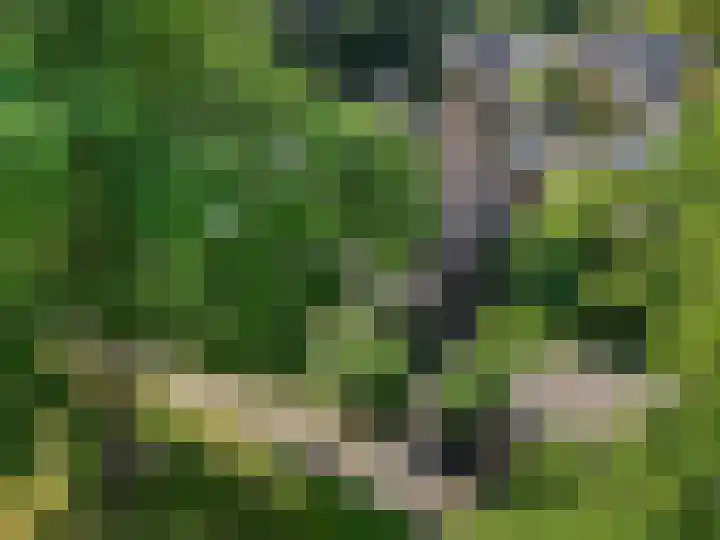 't Hazeveld 51 Nijkerk thumbnail 57