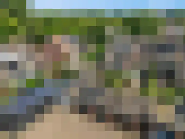 't Hazeveld 51 Nijkerk thumbnail 58