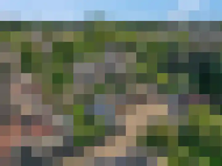 't Hazeveld 51 Nijkerk thumbnail 59