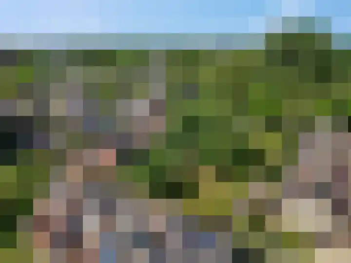 't Hazeveld 51 Nijkerk thumbnail 60