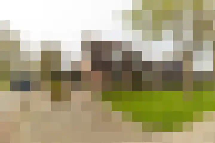 't Heale Paed 11 in Koudum