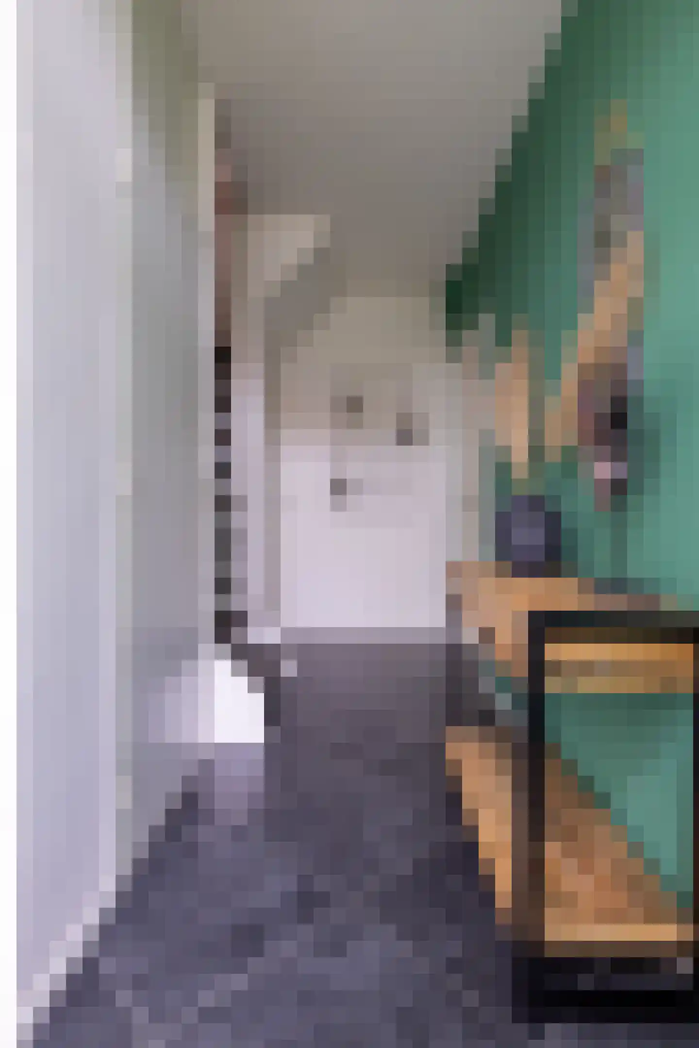't Heale Paed 18 Koudum thumbnail 11