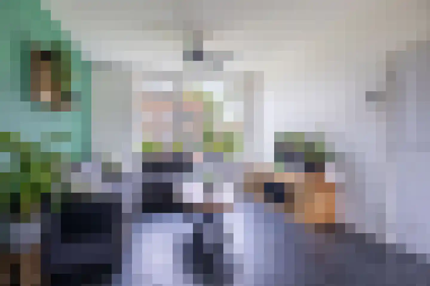 't Heale Paed 18 Koudum thumbnail 14