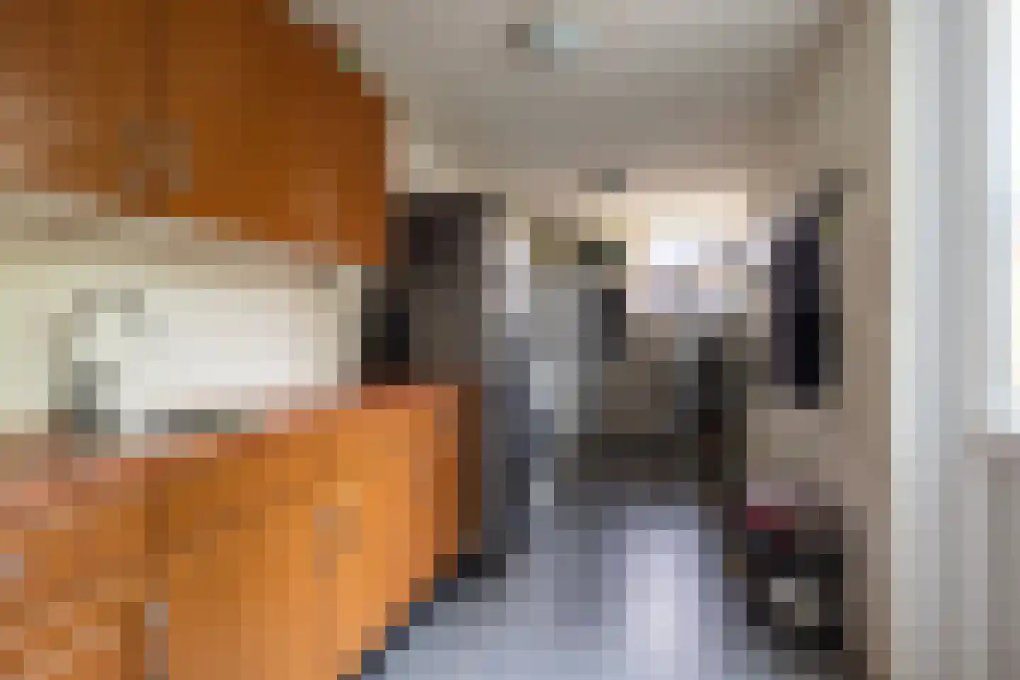't Heale Paed 18 Koudum thumbnail 22