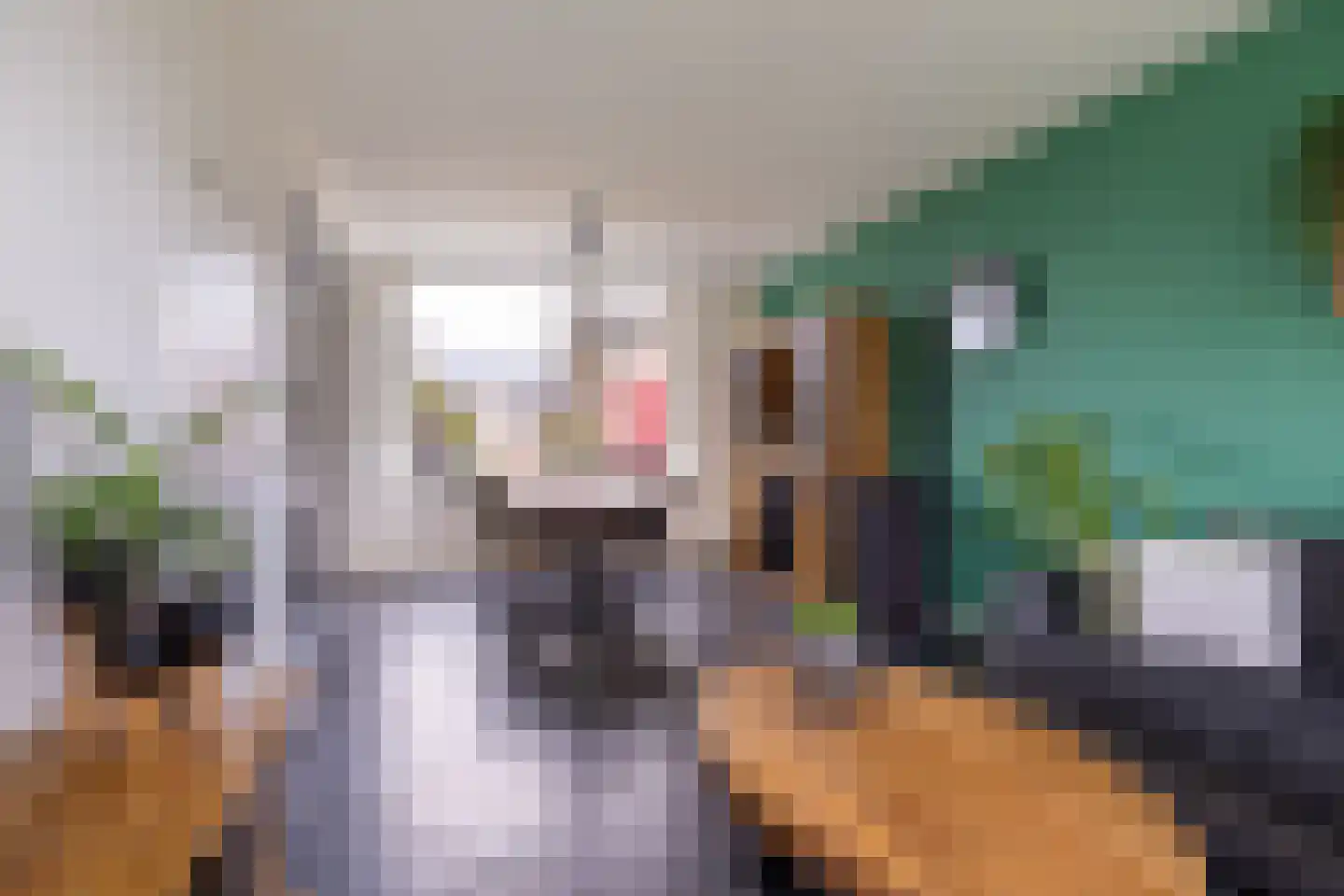 't Heale Paed 18 Koudum foto 3