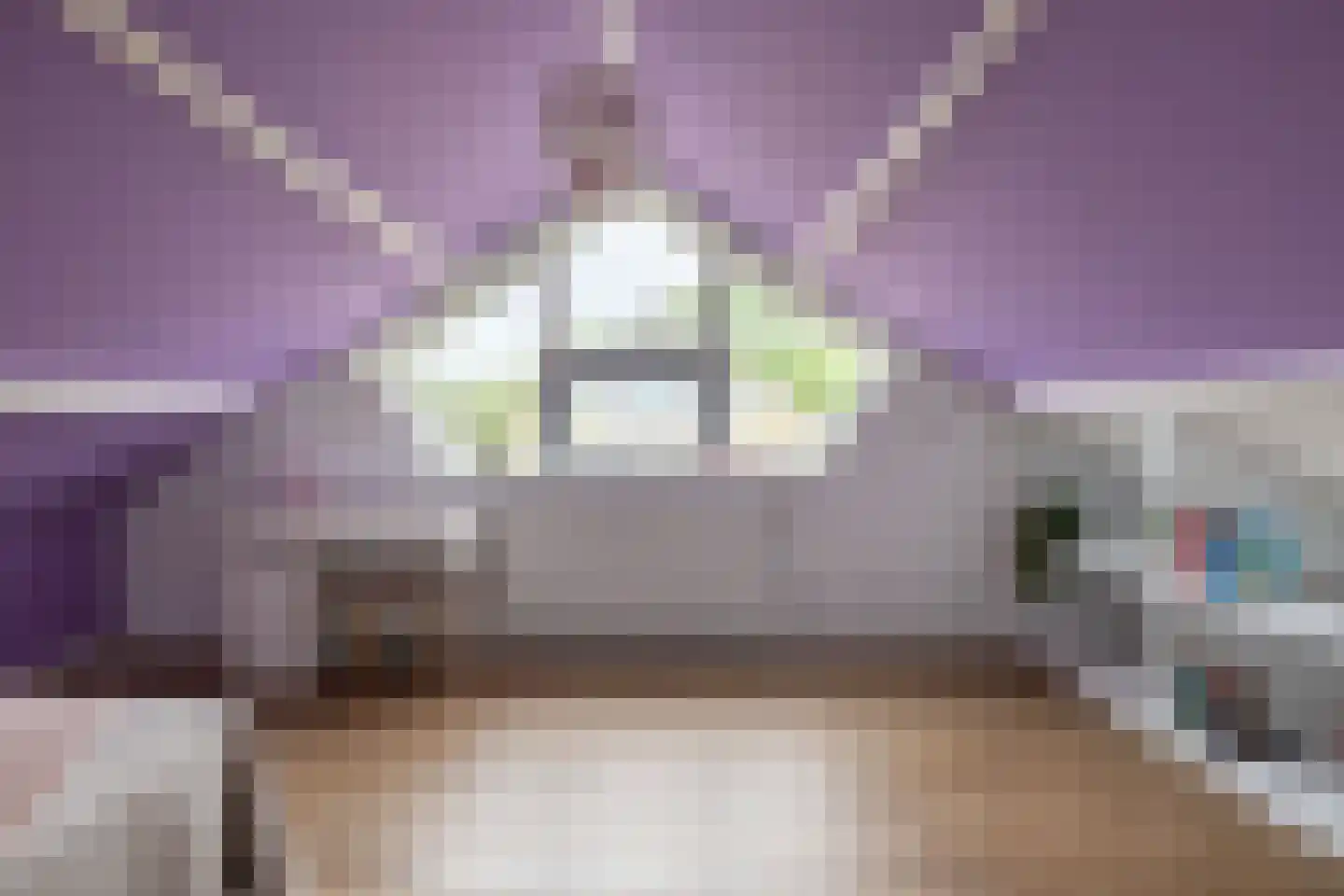 't Heale Paed 18 Koudum thumbnail 37