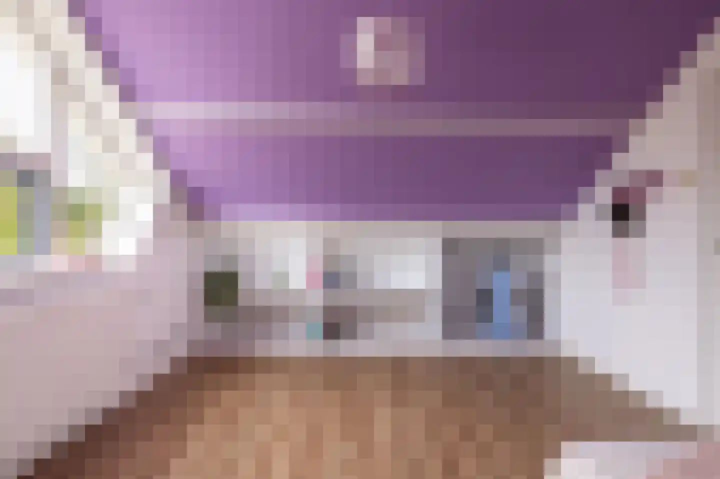't Heale Paed 18 Koudum thumbnail 39