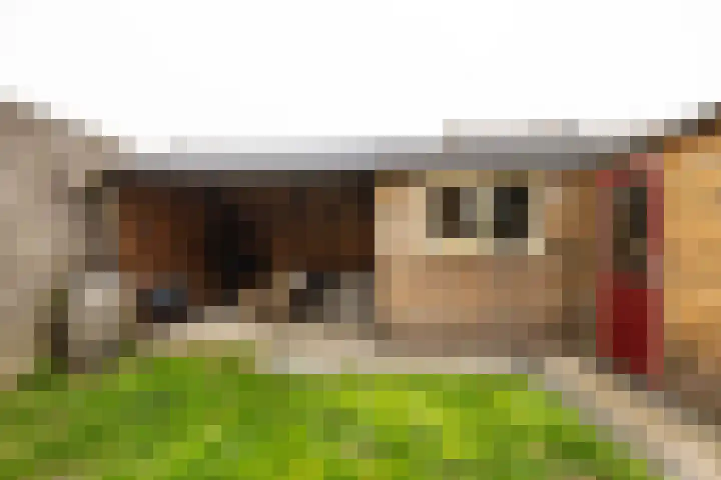 't Heale Paed 18 Koudum thumbnail 42