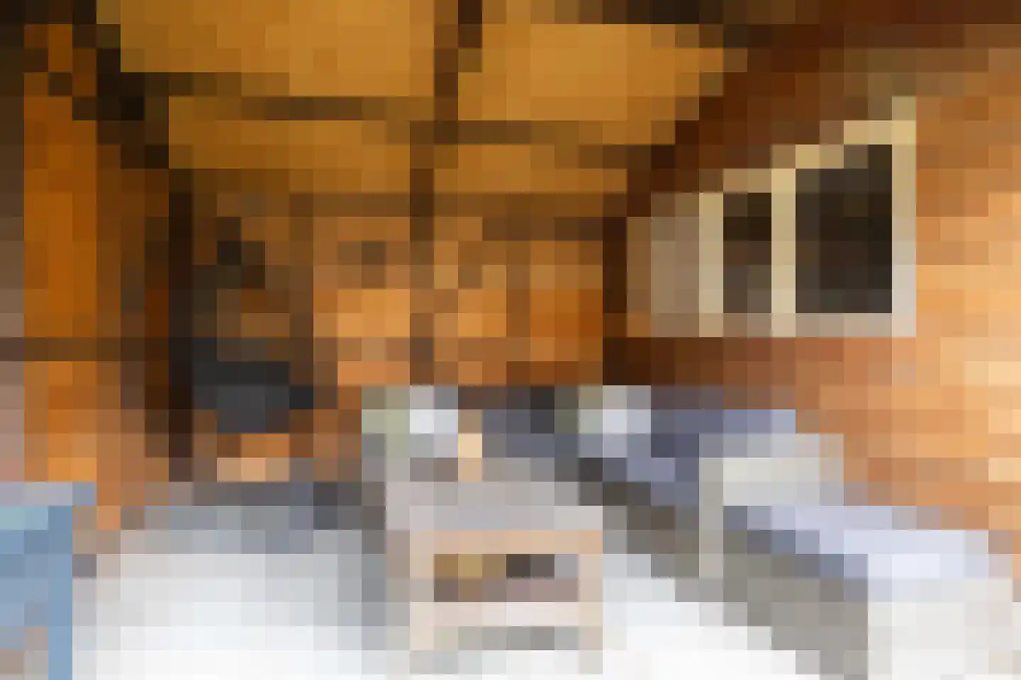 't Heale Paed 18 Koudum thumbnail 43