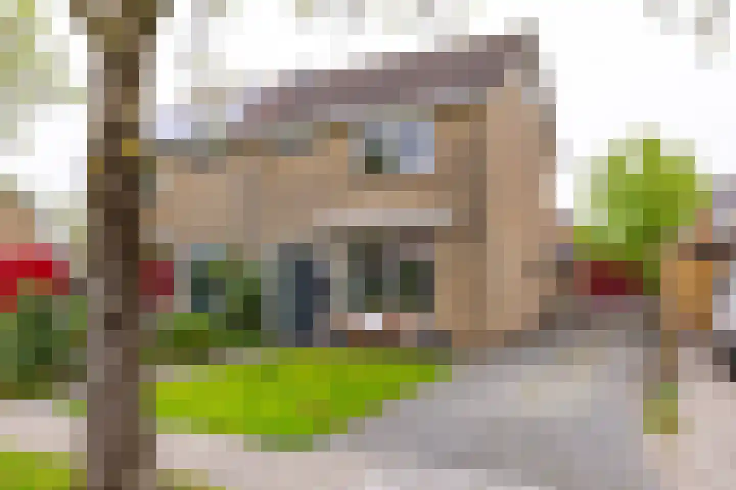 't Heale Paed 18 Koudum thumbnail 6