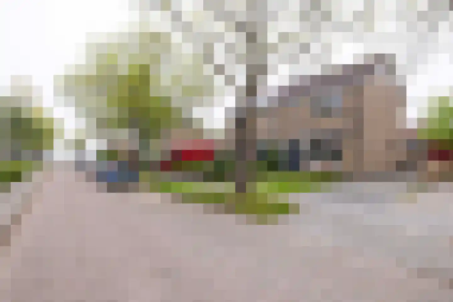 't Heale Paed 18 Koudum thumbnail 8