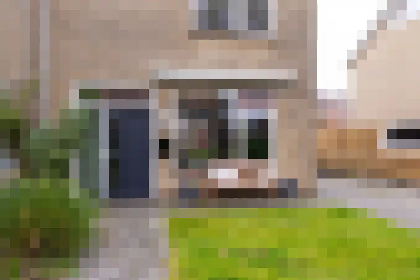 't Heale Paed 18 Koudum thumbnail 9