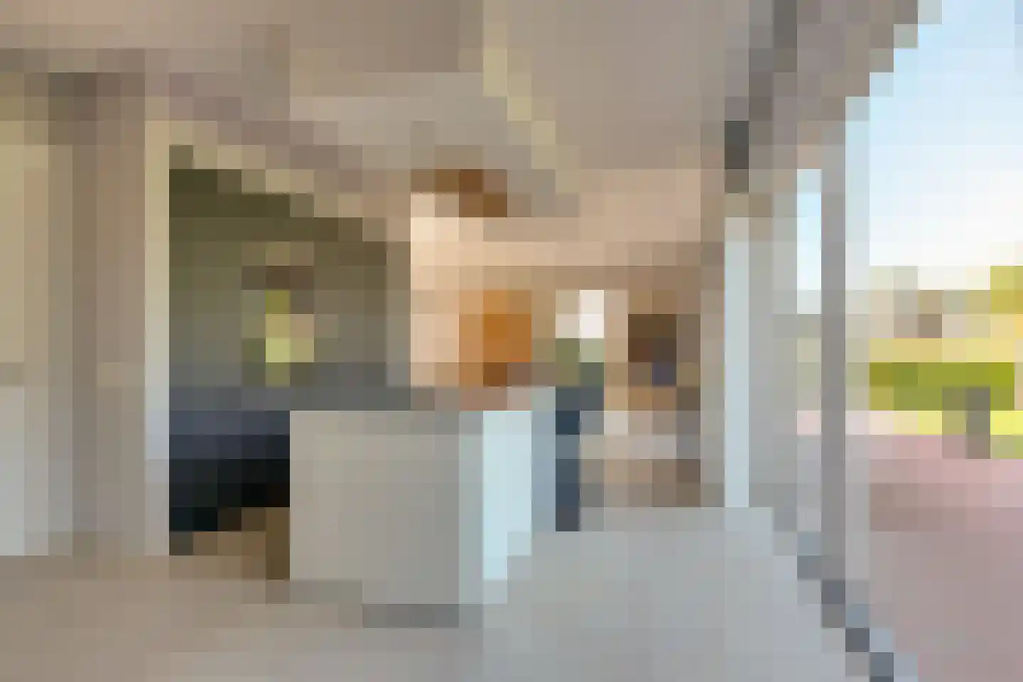 't Hees 4 Westerbork thumbnail 12