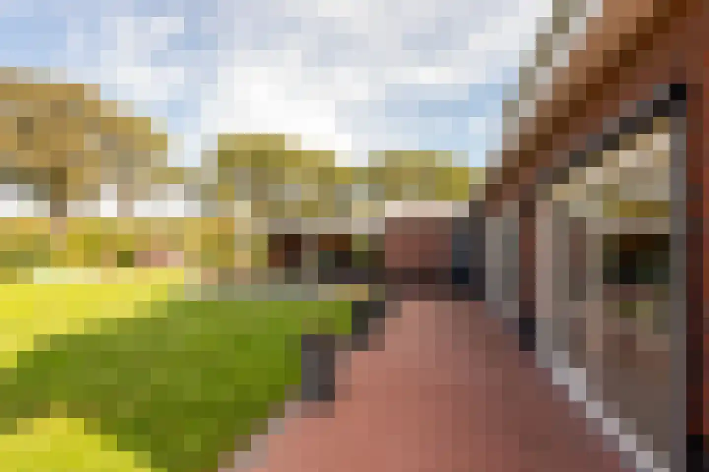 't Hees 4 Westerbork thumbnail 34