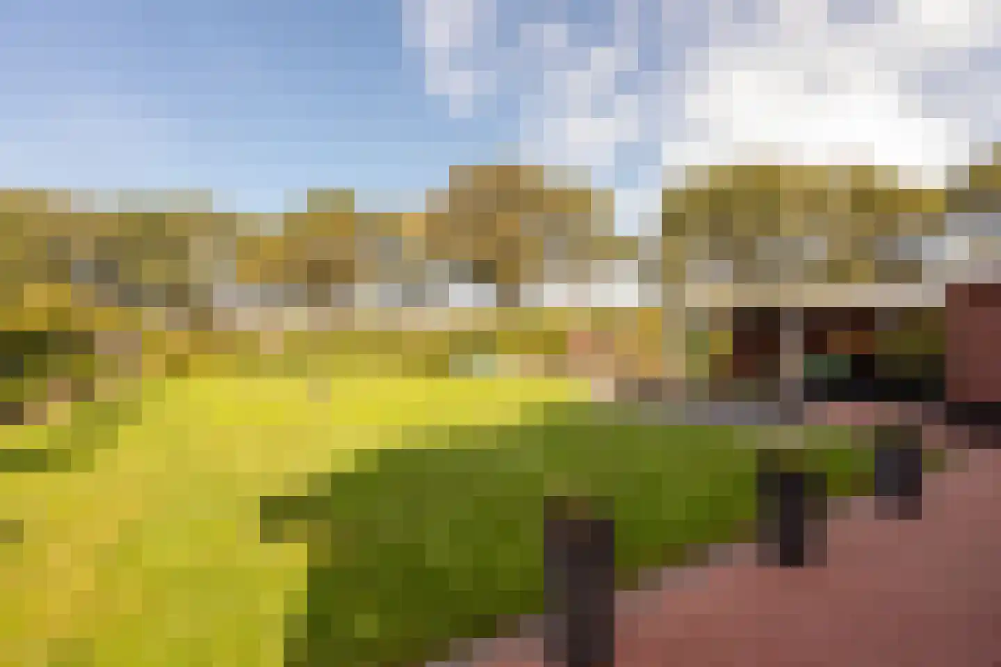 't Hees 4 Westerbork thumbnail 42