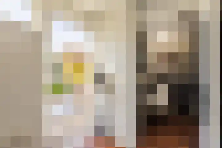 't Heike 1 a Helvoirt thumbnail 15