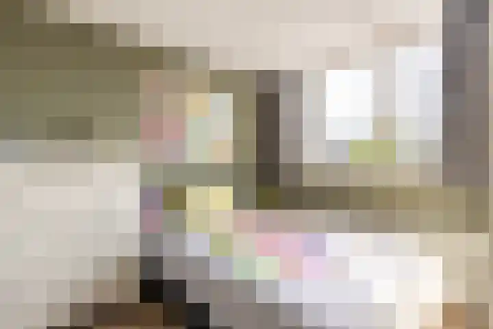 't Heike 1 a Helvoirt thumbnail 27