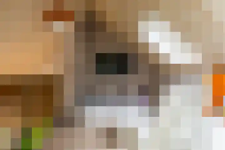't Heike 1 a Helvoirt thumbnail 29