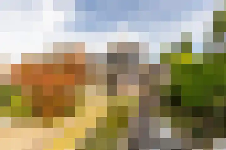 't Heike 1 a Helvoirt thumbnail 35
