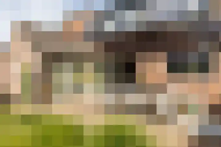 't Heike 1 a Helvoirt thumbnail 38