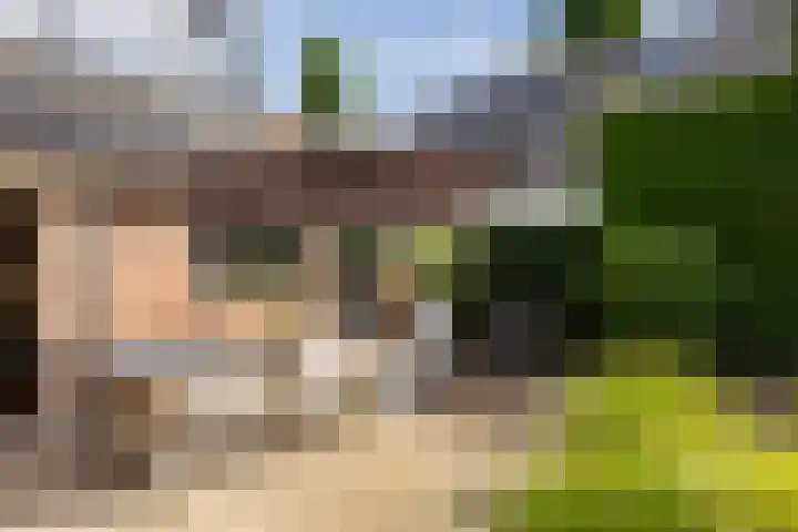 't Heike 1 a Helvoirt thumbnail 39