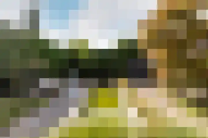 't Heike 1 a Helvoirt thumbnail 42