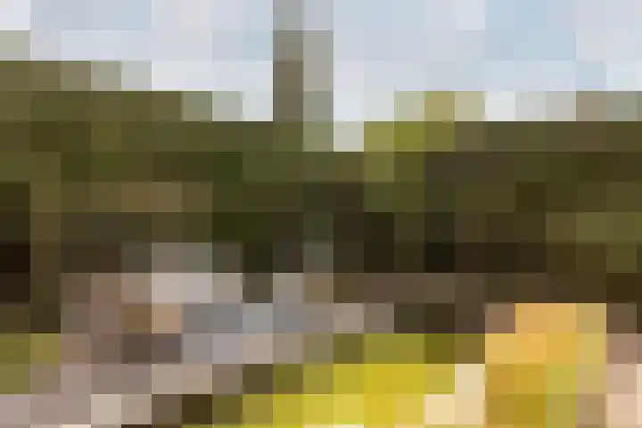 't Heike 1 a Helvoirt thumbnail 43