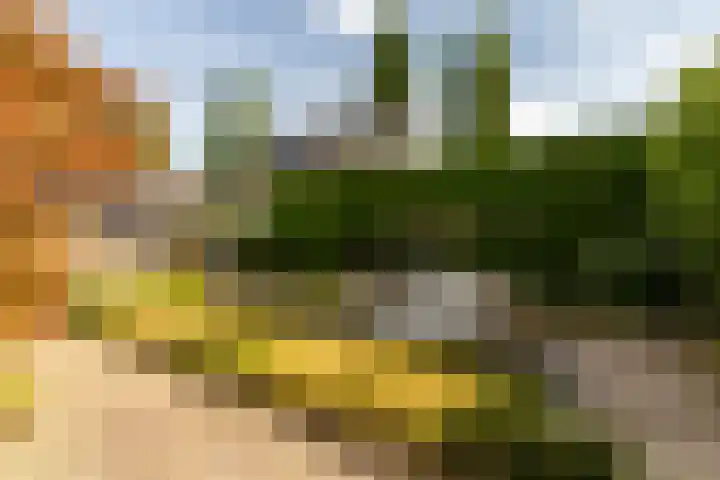 't Heike 1 a Helvoirt thumbnail 44