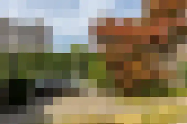 't Heike 1 a Helvoirt thumbnail 45
