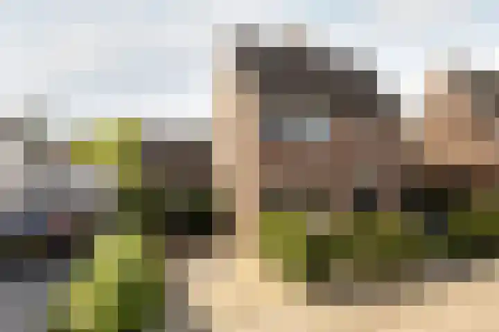 't Heike 1 a Helvoirt thumbnail 49