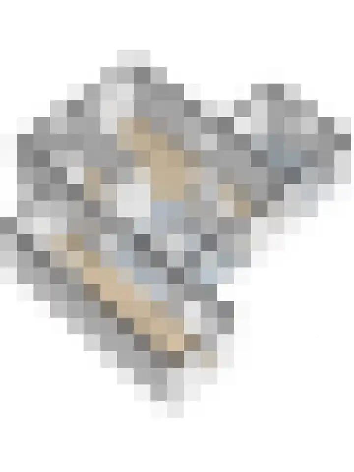 't Heike 1 a Helvoirt thumbnail 53
