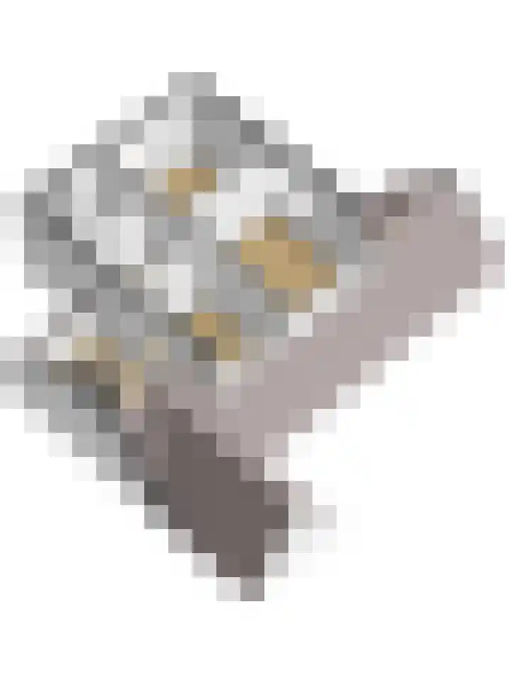 't Heike 1 a Helvoirt thumbnail 55