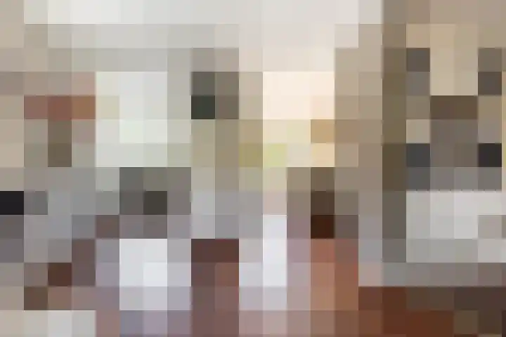 't Heike 1 a Helvoirt thumbnail 6