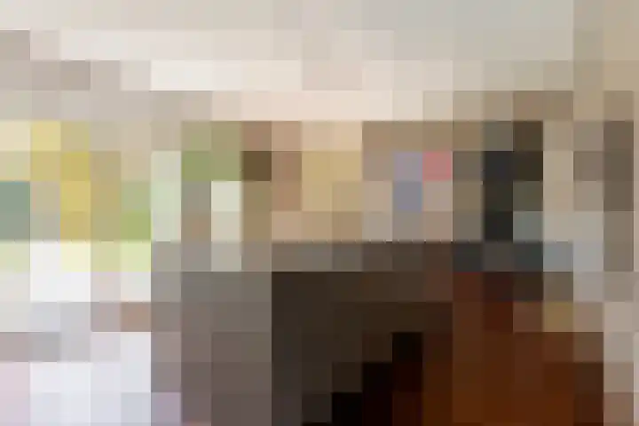 't Heike 1 a Helvoirt thumbnail 9