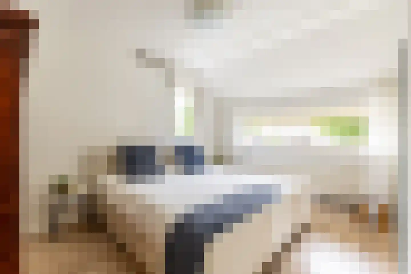 't Heike 26 Helvoirt thumbnail 10