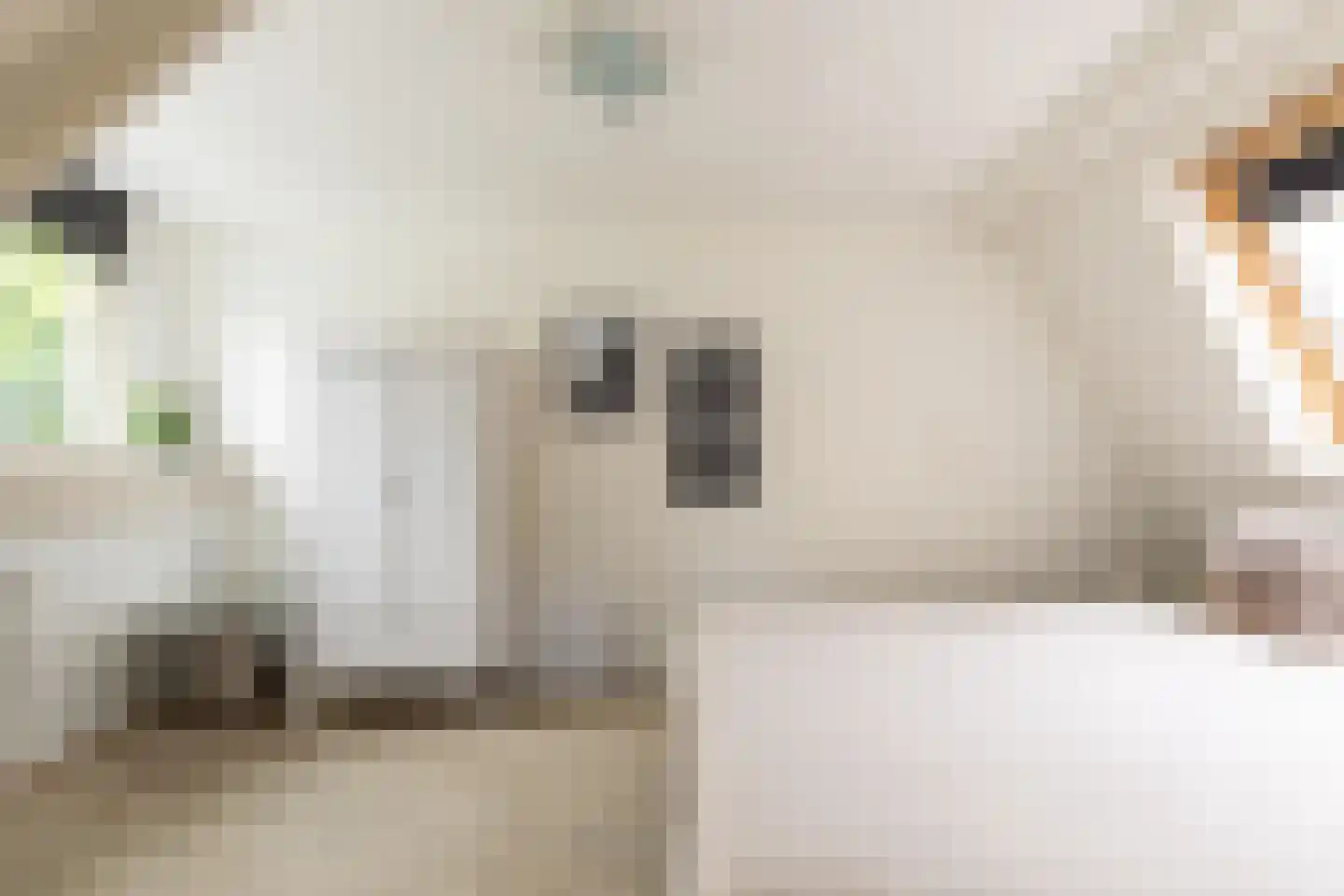 't Heike 26 Helvoirt thumbnail 18