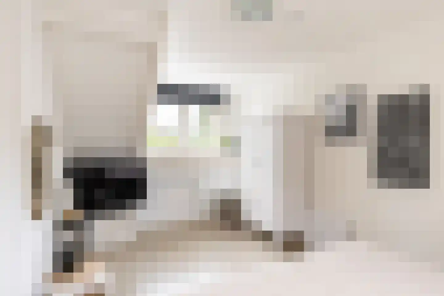 't Heike 26 Helvoirt thumbnail 19