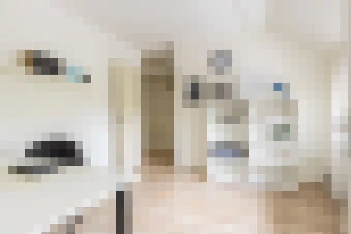 't Heike 26 Helvoirt thumbnail 21