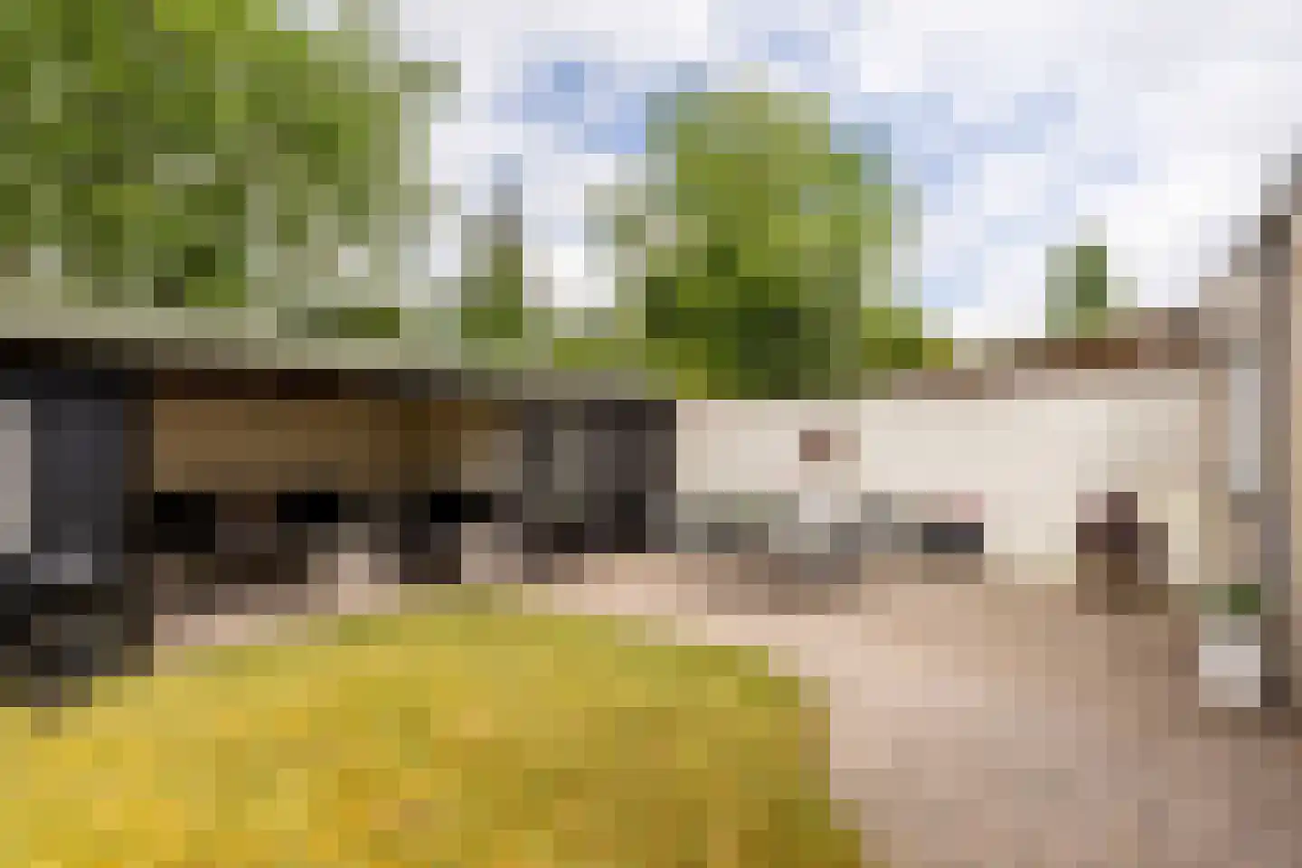 't Heike 26 Helvoirt thumbnail 25